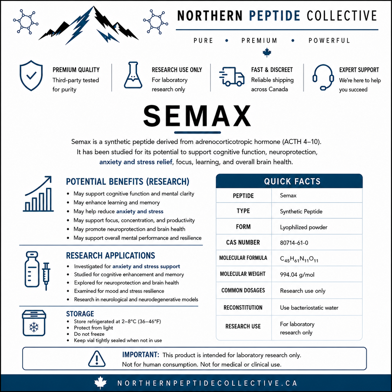 Semax: Research Overview, Cognitive Support &amp; Neuroprotection Investigations