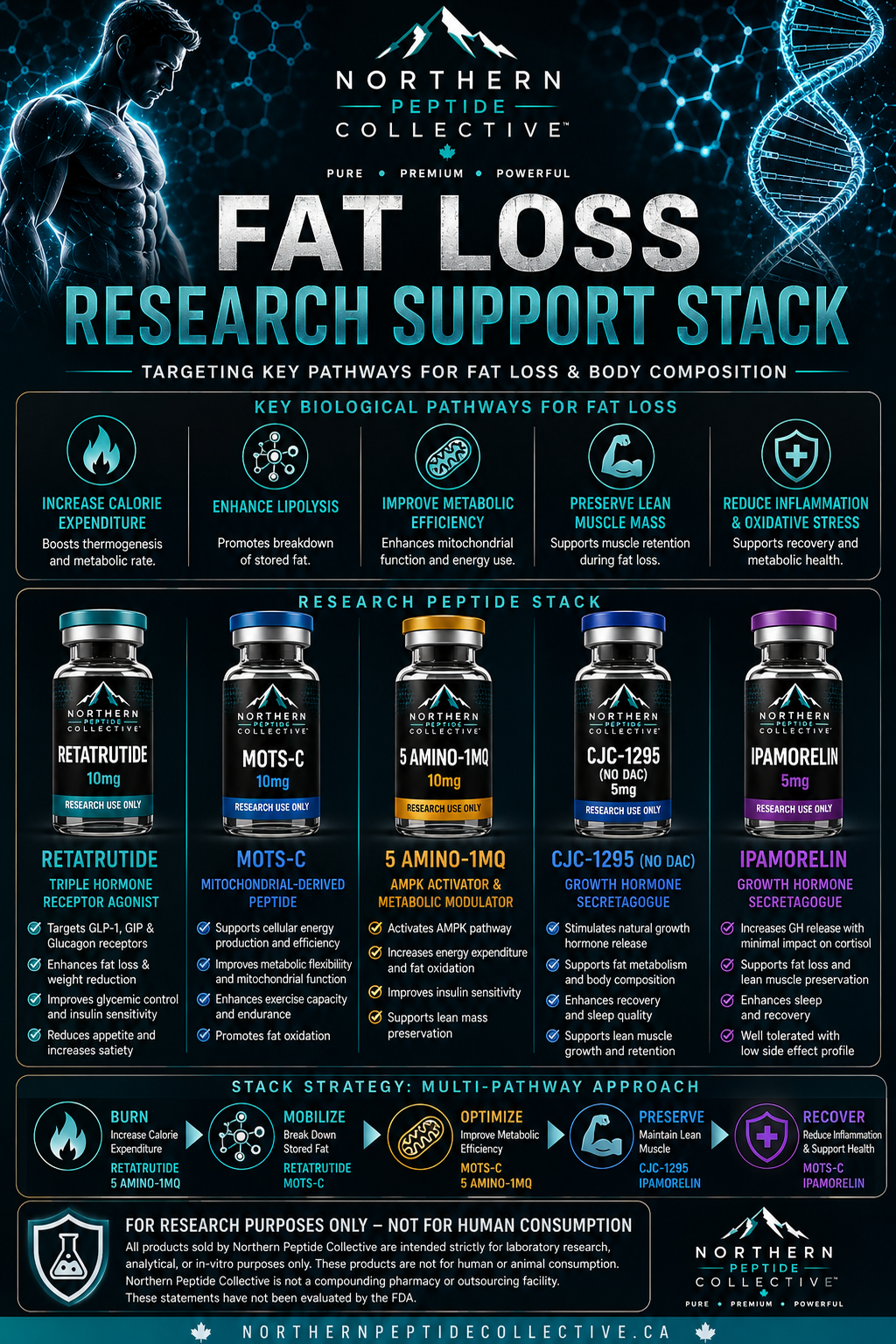 Fat Loss Research Support Stack: Multi-Pathway Body Composition Research